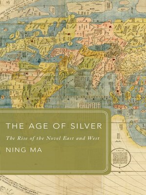 cover image of The Age of Silver
